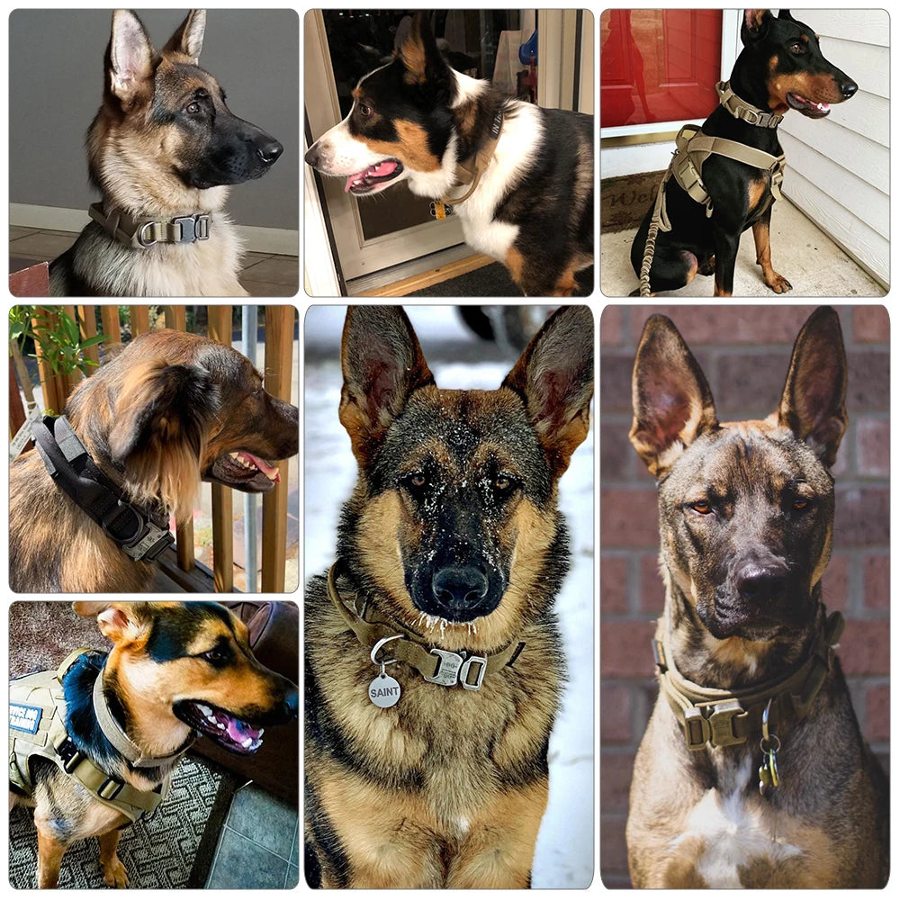 Adjustable Training Tactical Dog Collar