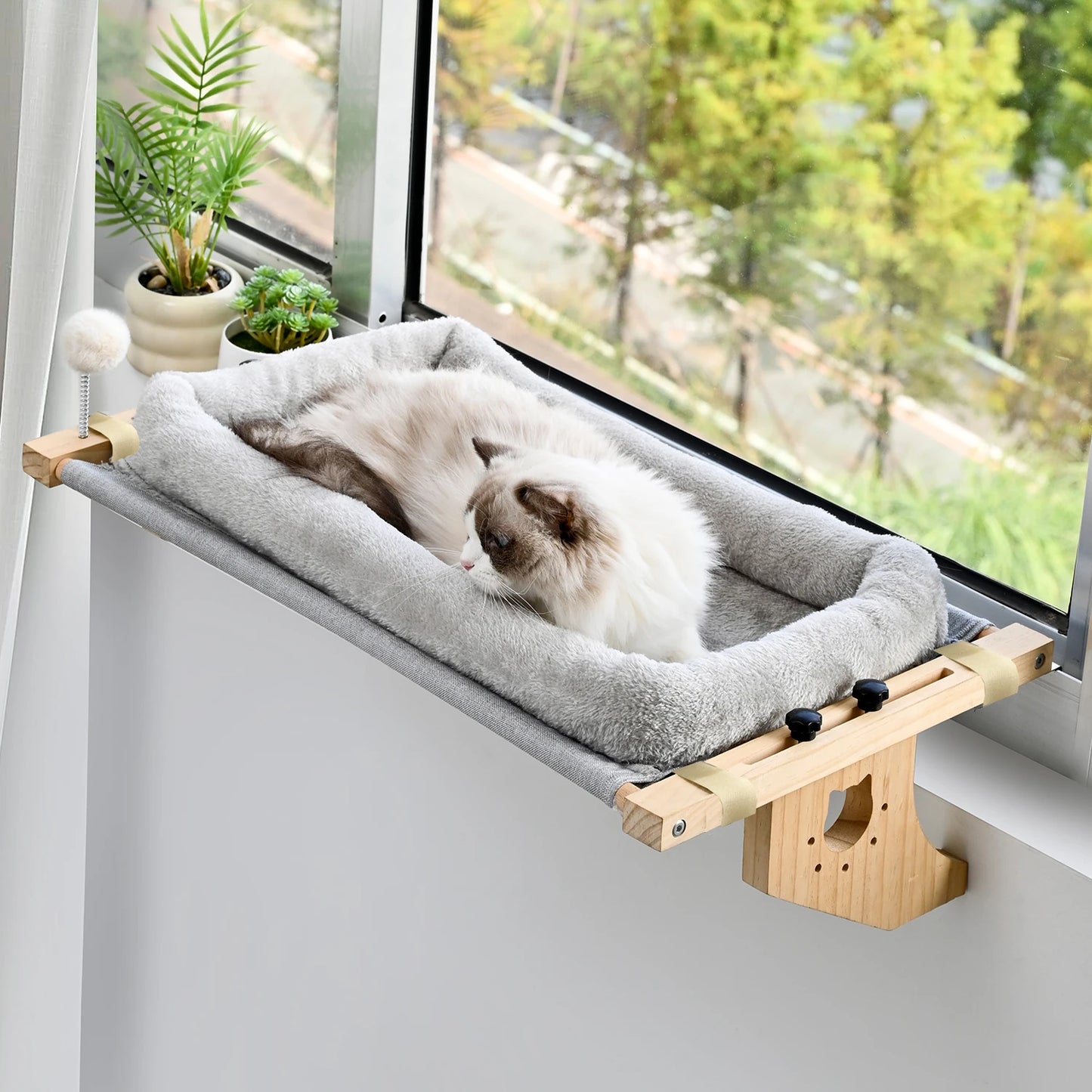 Window Hammock Design
