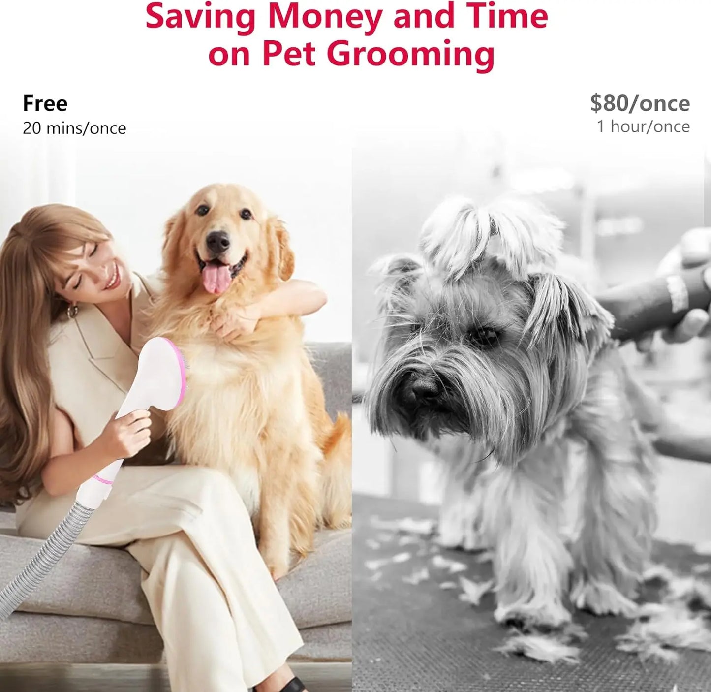 Multi-Functional Pet Hair Vacuum Groomer
