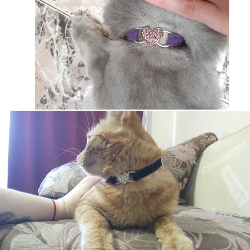 Heart Charm and Bell Pet Collar