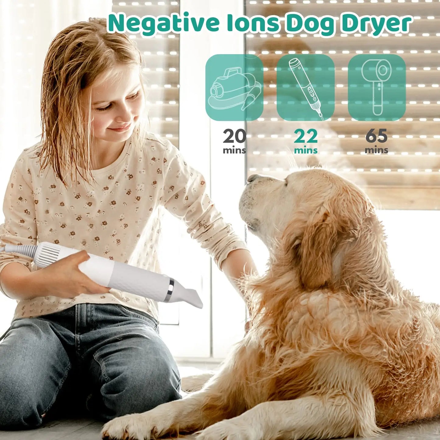 5 in 1 Portable Handheld Pet Hair Dryer