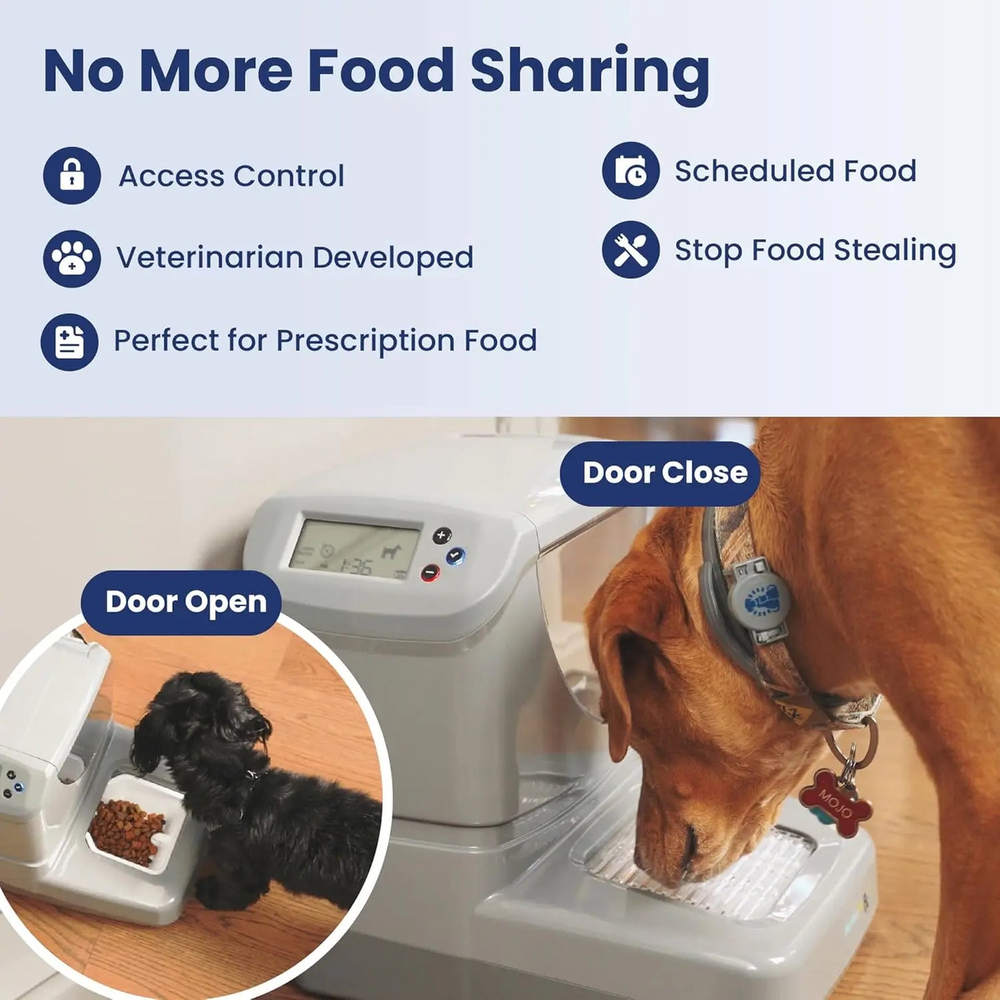 Scheduled Meal Pet Feeder