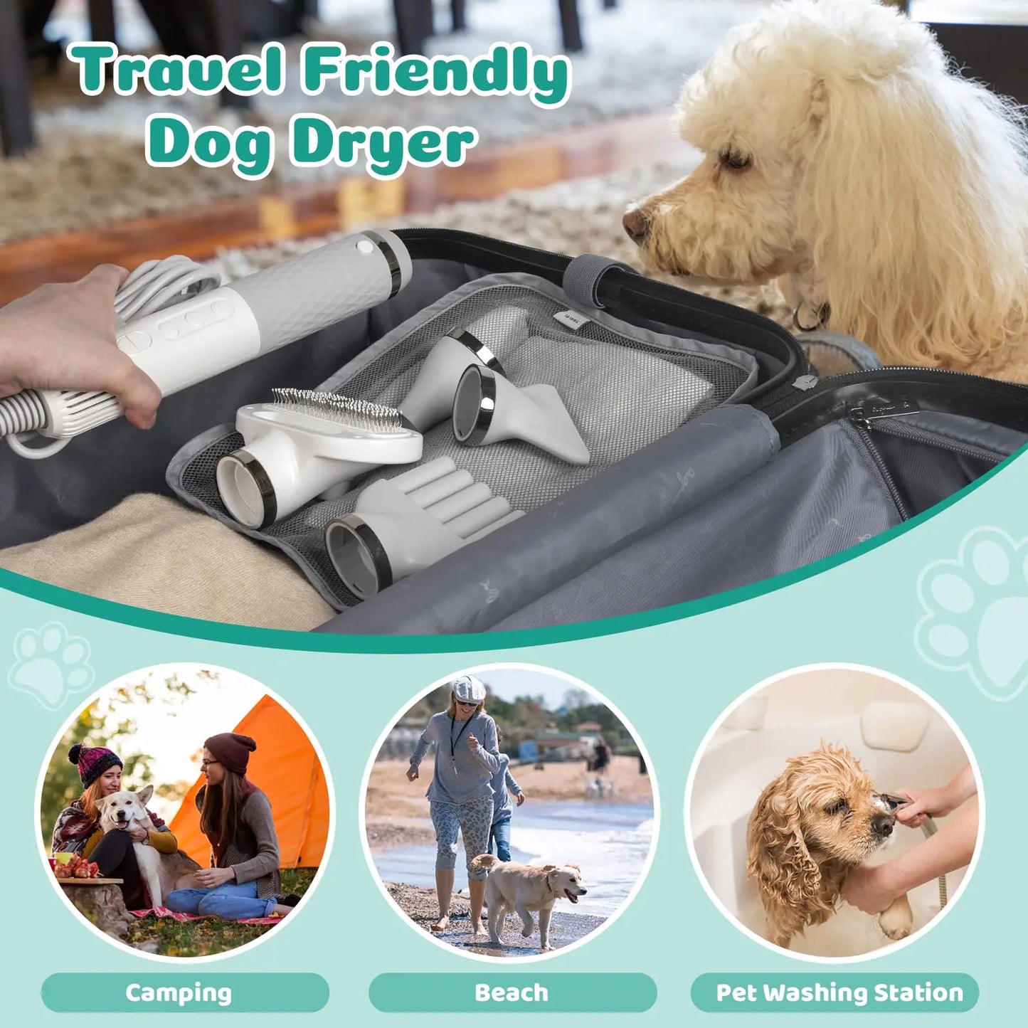 5 in 1 Portable Handheld Pet Hair Dryer