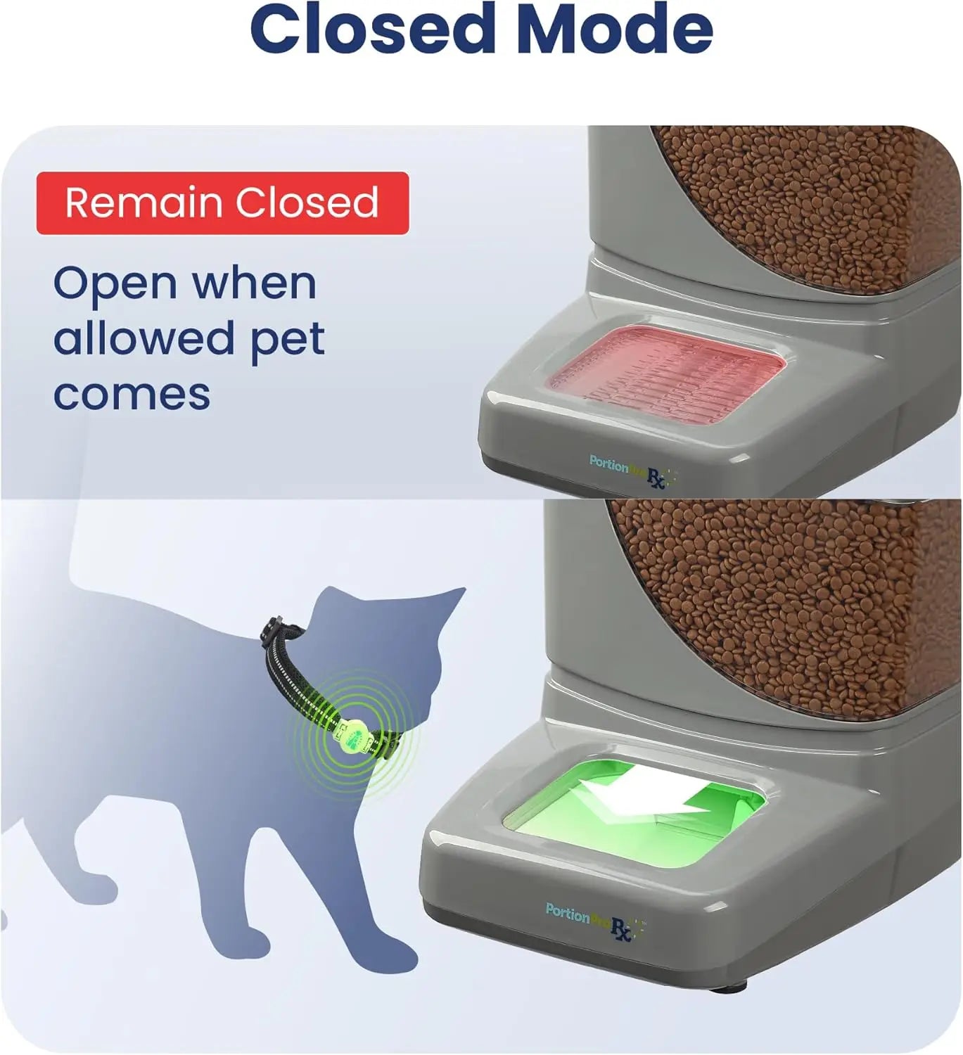 Scheduled Meal Pet Feeder
