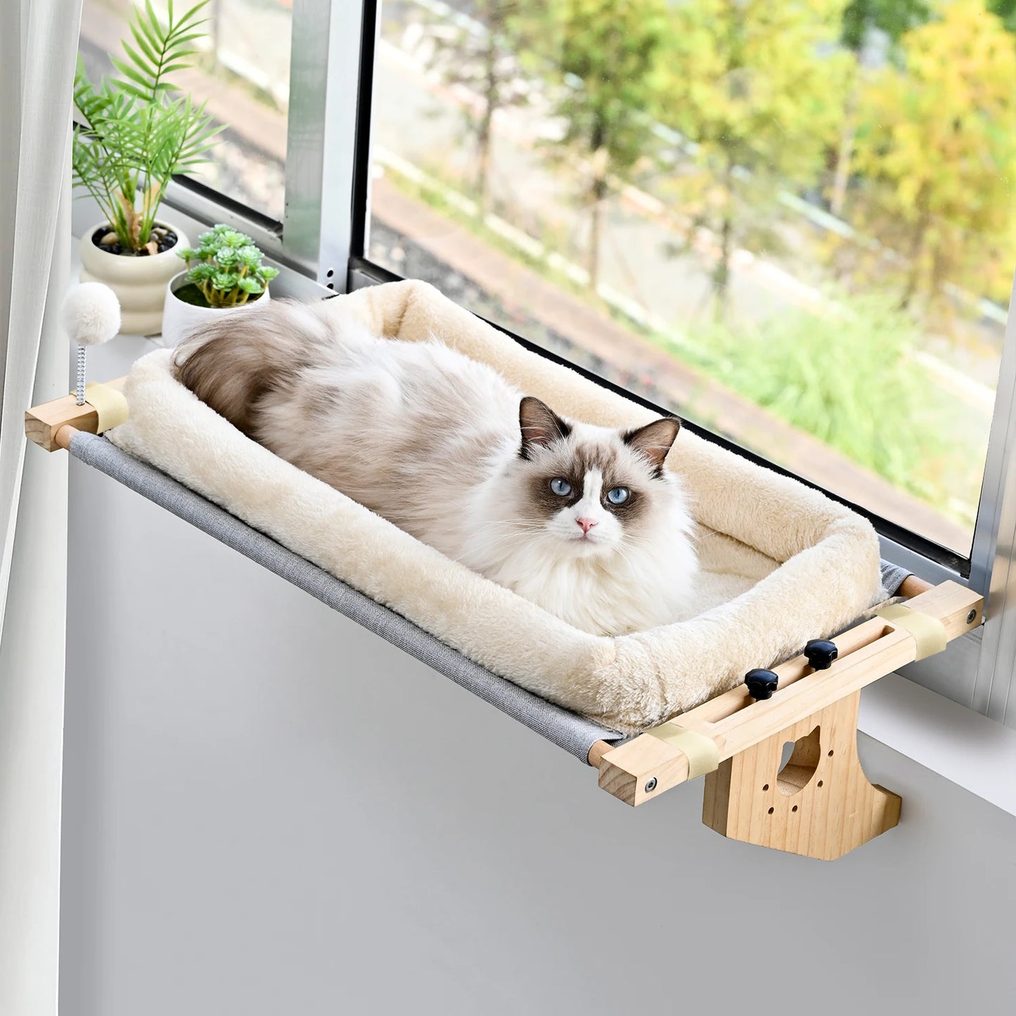 Window Hammock Design
