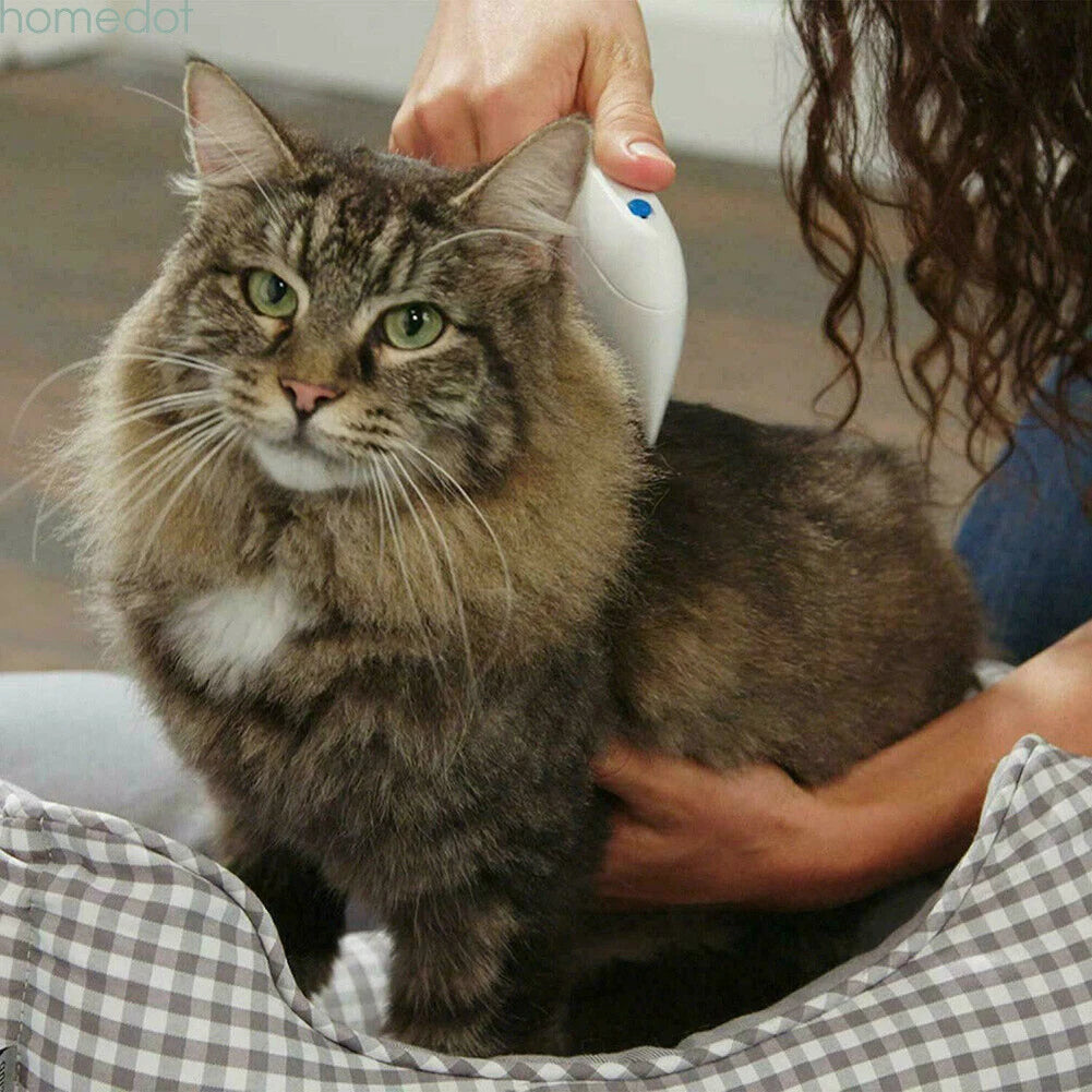 Electric Anti Flea/Lice Comb