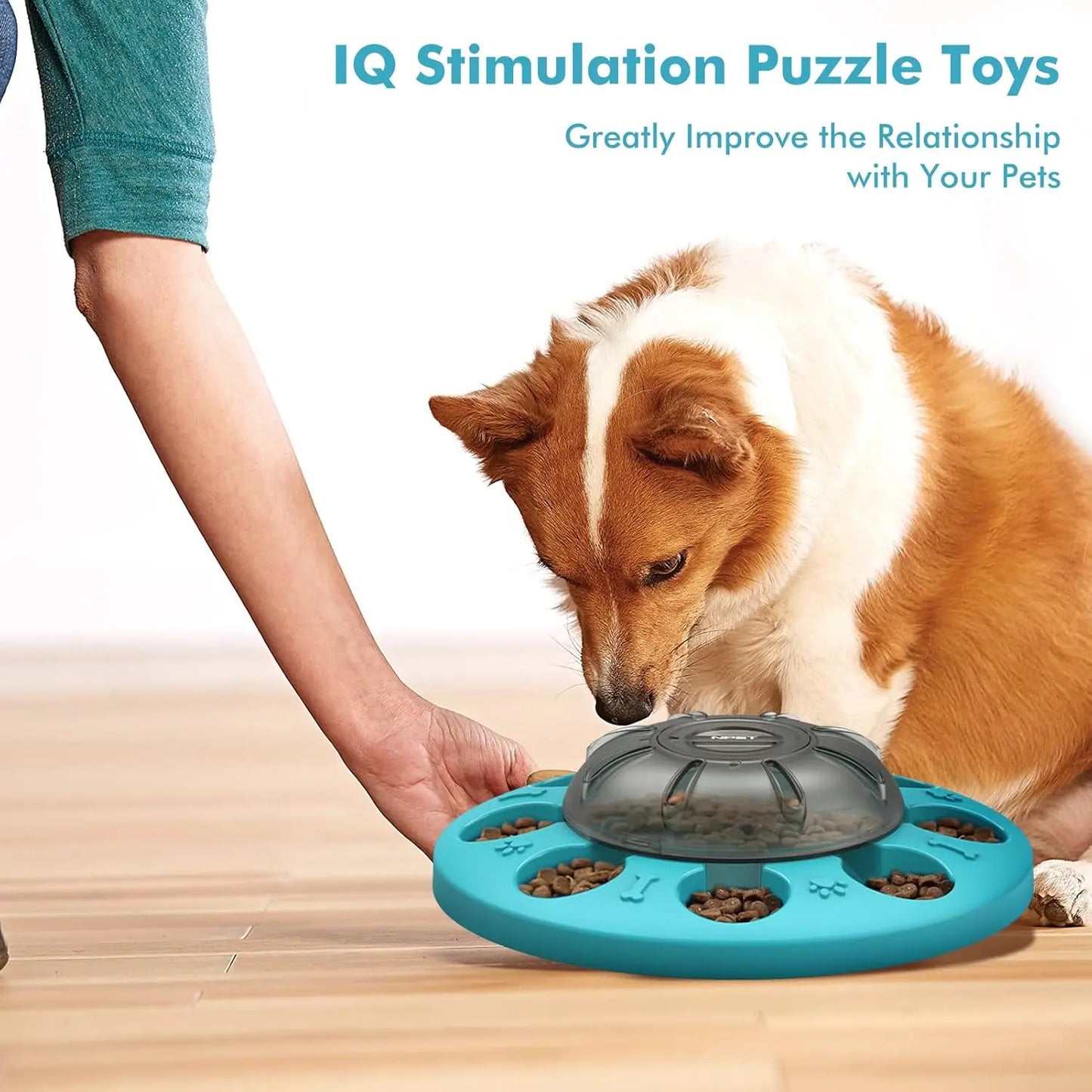 Interactive Pet IQ Training & Mental Enrichment