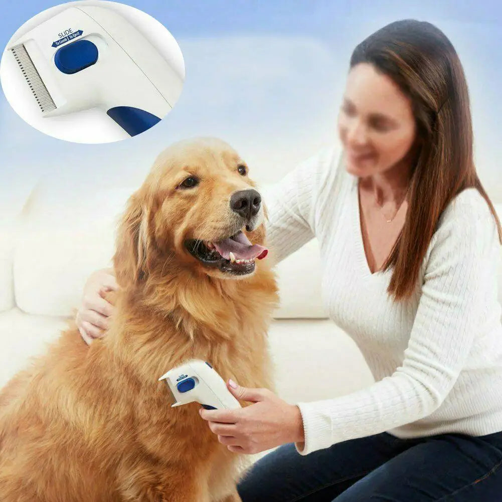 Electric Anti Flea/Lice Comb