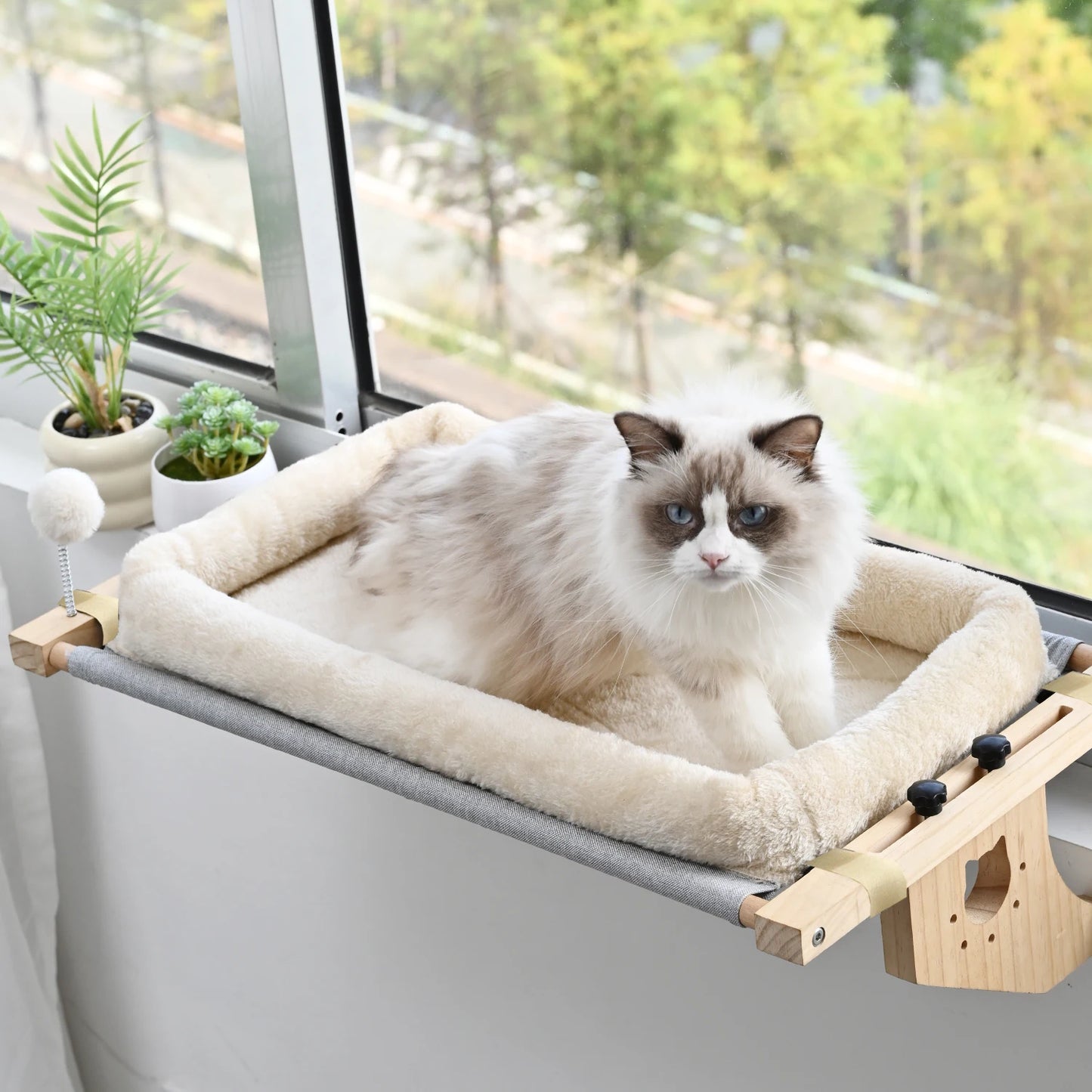 Window Hammock Design