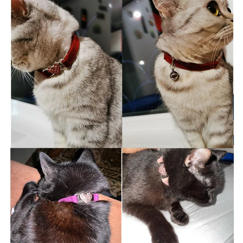Heart Charm and Bell Pet Collar