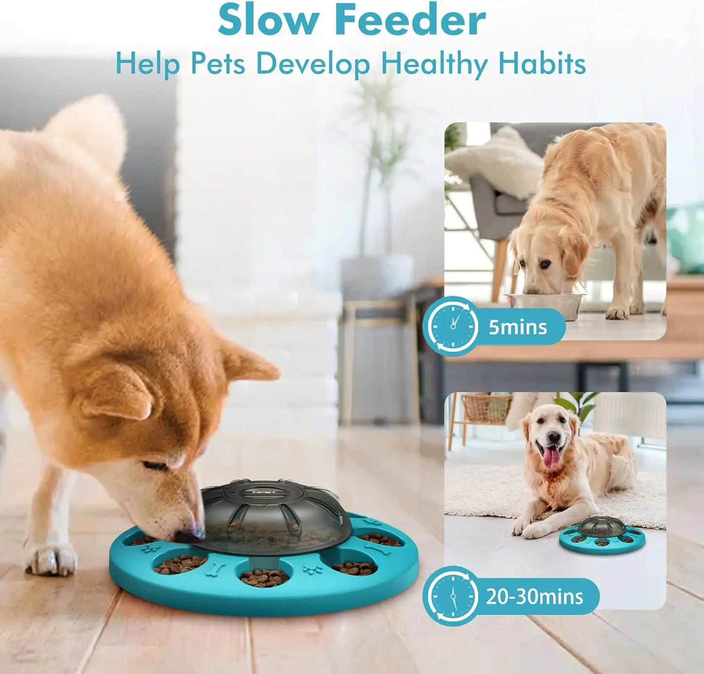 Interactive Pet IQ Training & Mental Enrichment